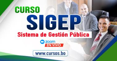 Curso Sistema de Gestin Pblica SIGEP WEB - ON LINE (EN VIVO)