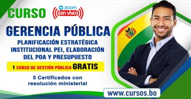 Curso Gerencia Pública, Planificación Estratégica  Institucional PEI , elaboración del POA y presupuesto