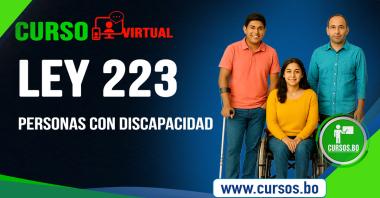 Ley 223 Personas con Discapacidad ON LINE (Virtual 24/7)