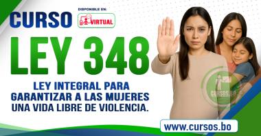 Curso Ley 348 - ON LINE (Virtual 24/7)