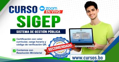 Curso Manejo SIGEP - ON LINE (EN VIVO)