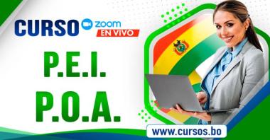 Curso Gerencia Pública, Planificación Estratégica  Institucional PEI , elaboración - Reformulación del POA y presupuesto virtual